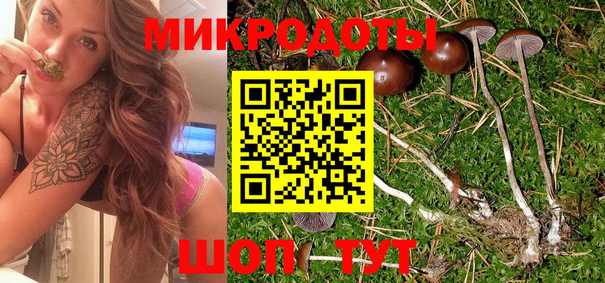 Галлюциногенные грибы прущие грибы Волоколамск