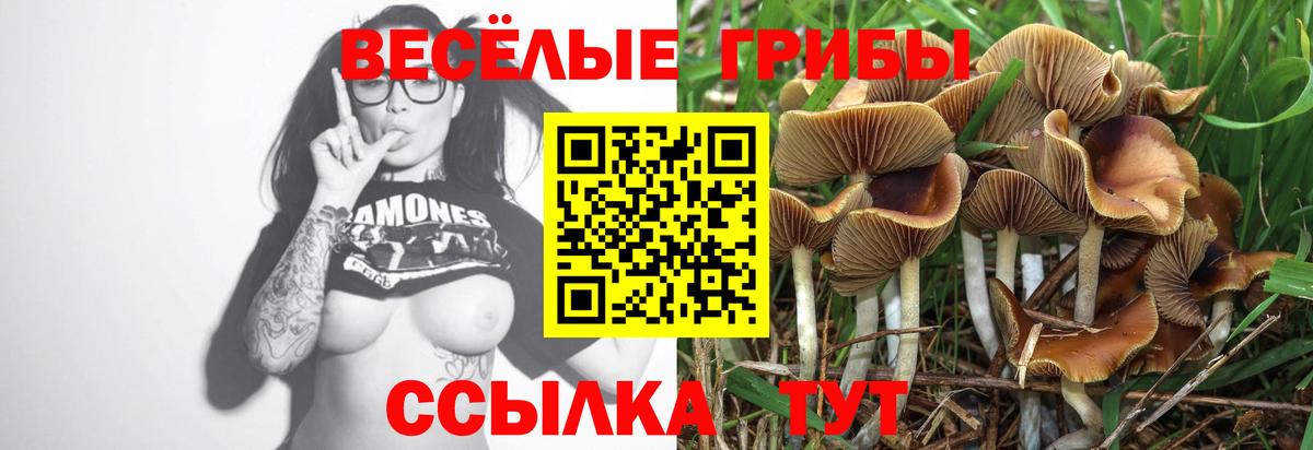 Галлюциногенные грибы Magic Shrooms  где можно купить   Волоколамск  Галлюциногенные грибы Magic Shrooms  Вход с VPN 